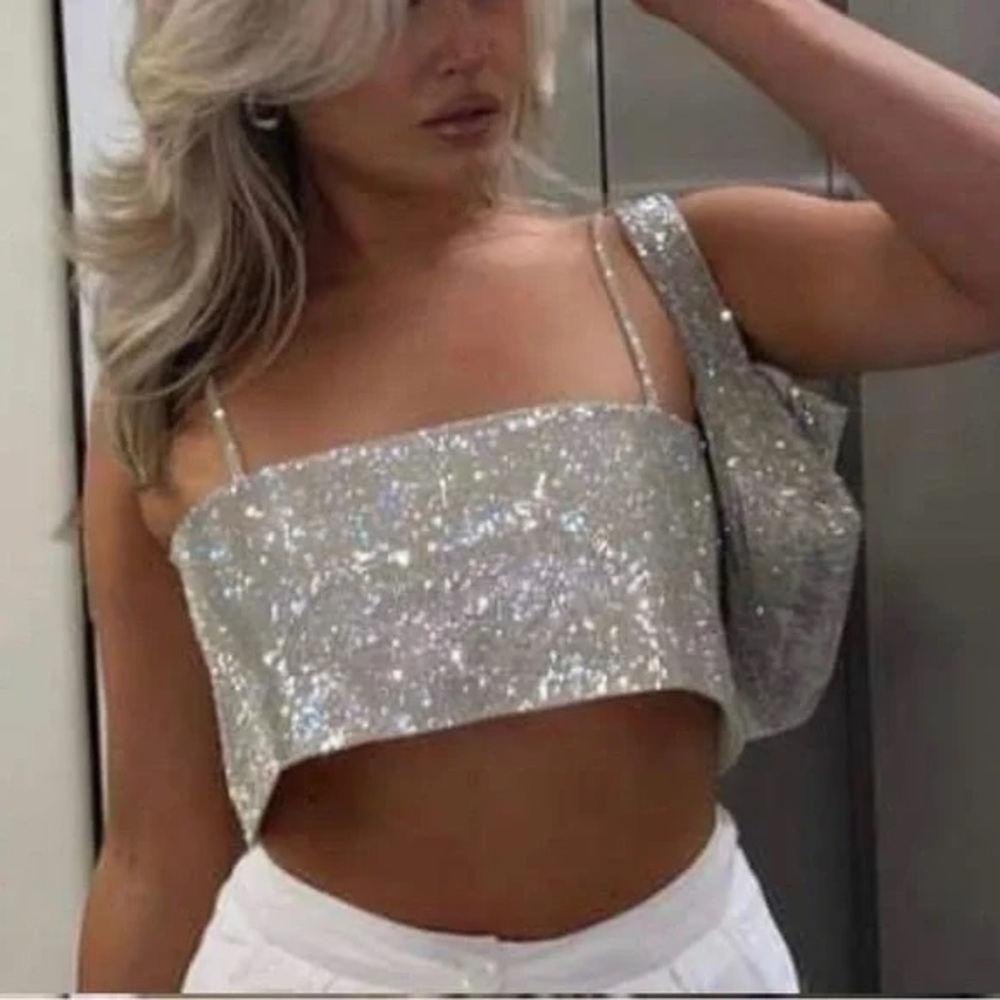 Zara Silver Sequin Cropped Cami Top